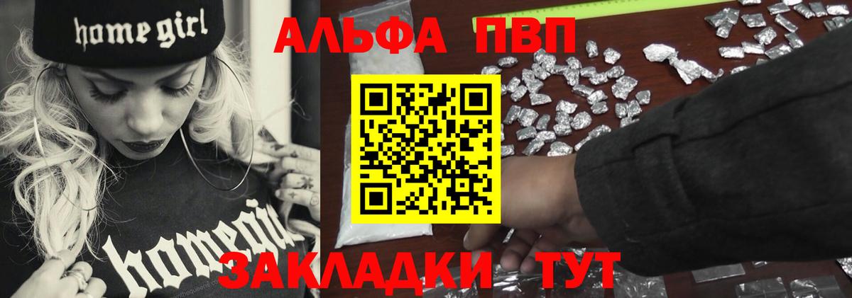 A PVP СК КРИС Шадринск
