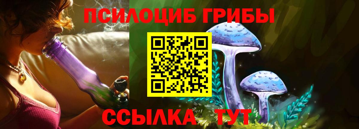 Шадринск  Псилоцибиновые грибы Cubensis  Вход с VPN 